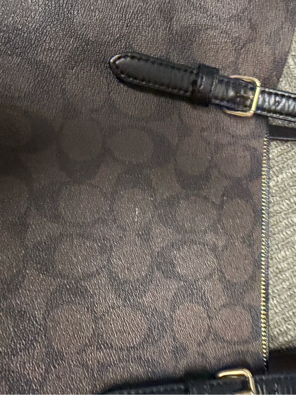 Coach - Picture 3 of 6